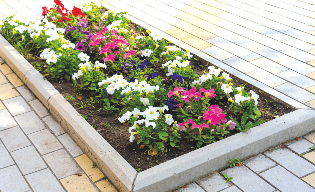 Bloemenperk met kleurrijke bloemen tussen grijze stoeptegels